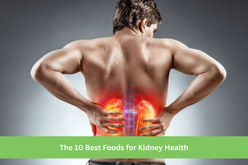 The 10 Best Foods for Kidney Health